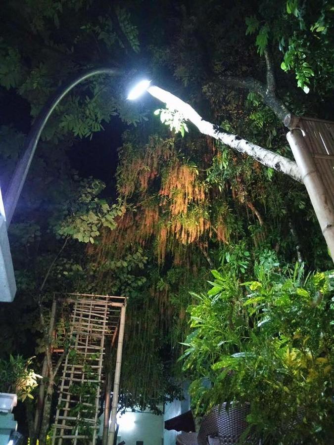 Hostel Mai Chau Mountains Zewnętrze zdjęcie